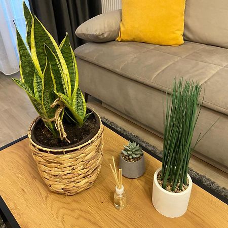 Mirage Sunset Mamaia Apartment Екстериор снимка